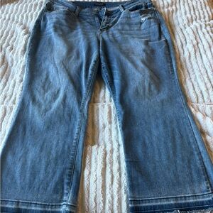 Judy Blue cropped denim jean